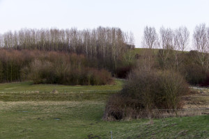 Inspraak Provinciale Staten over de voormalige vuilstort IJsseldijk